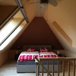 Moderne Maisonette-wohnung Am Karpfenteich; Modern With View Of The Carp Pond 公寓 巴姆施泰特